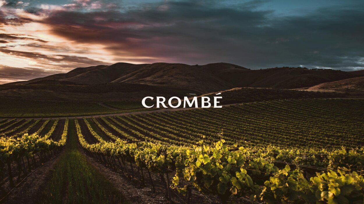 Crombé Wines: technologische innovatie in de Belgische wijnsector